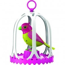 Digibirds Ptaszek w klatce Costa S88295/12 OU